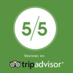 tripadvisor